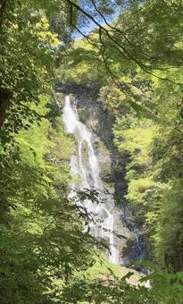 Lush green waterfall②, JPG Lush green waterfall②, JPG