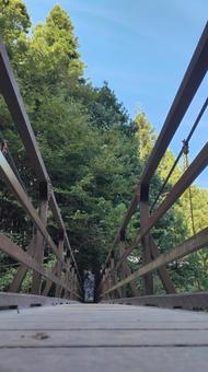 西沢渓谷 橋009 西沢渓谷 橋009 橋,西沢渓谷,滝の写真素材