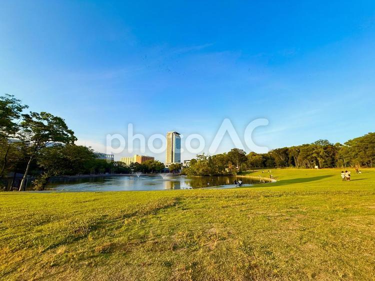 多摩中央公園の美しい芝生と池 青空,空,ブルースカイの写真素材