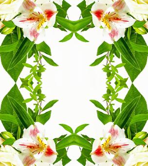 アルストロメリアのイメージ素材 花,花飾り,コラージュの写真素材