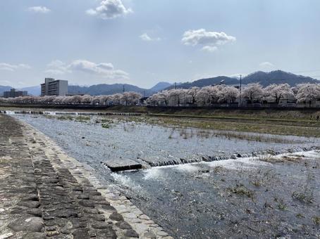 Photo, chuan, a river, riverbed, 