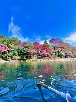 ボートと紅葉 ボート,紅葉,京都の写真素材