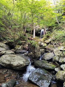 美しい渓谷のある山道 山道,森林,渓谷の写真素材