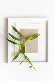 ベージュの紙が入った白い額縁と植物(白背景) ベージュの紙が入った白い額縁と植物(白背景) モックアップ,物撮り,フレームの写真素材