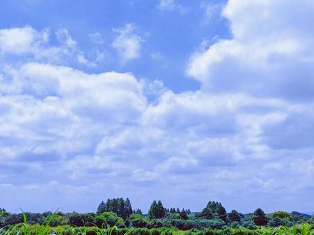 大空 大空 空,青空,雲の写真素材