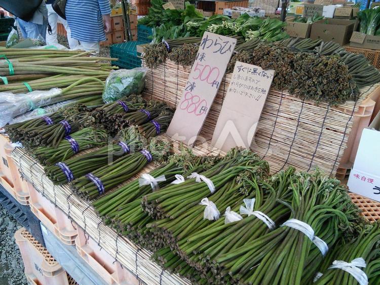 八百屋さんの軒先で色々な山菜が売られています 山菜,八百屋,野菜の写真素材