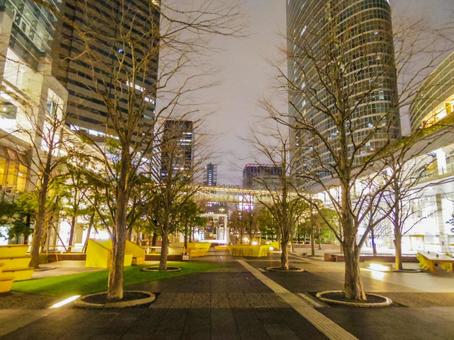 【東京都】品川インターシティ 品川インターシティ,品川セントラルガーデン,夜の写真素材