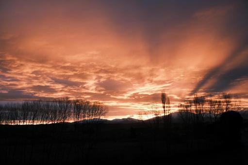 ドライブ中の夕日 ドライブ中の夕日の写真