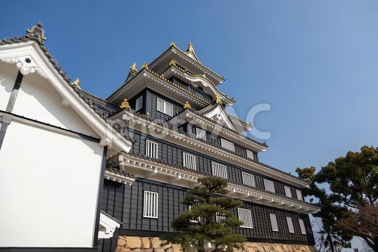 白壁と黒壁のコントラストの岡山城 岡山城,鳥城,岡山の写真素材