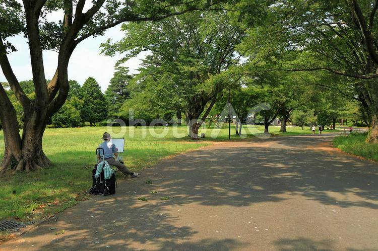 木陰の風景 夏,夏のイメージ,木陰の写真素材