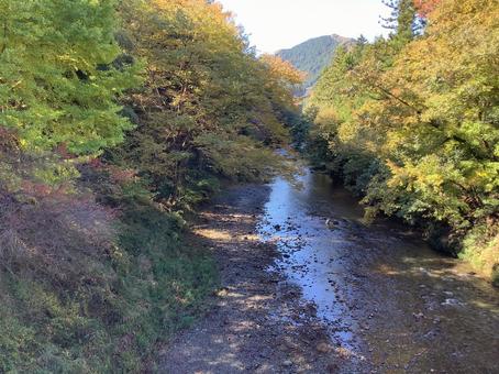 秋川渓谷 秋川渓谷,渓谷,秋の写真素材
