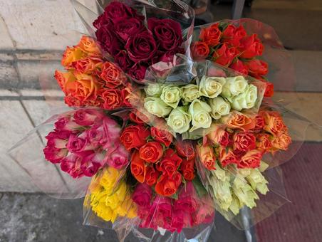 花束 花束 バラ,薔薇,花束の写真素材