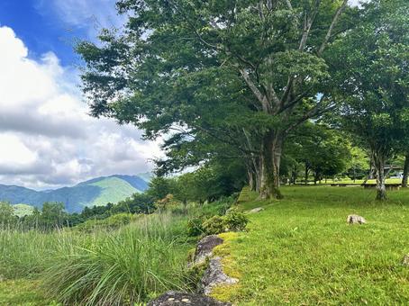 Photo, that chi sipo-cho, oyunori mountain, kumano kodo entrance, 