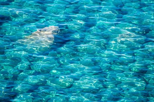 神秘的で鮮やかな積丹ブルー 積丹ブルー,神威岬,海の写真素材