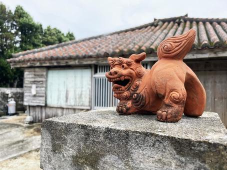 シーサー 沖縄,民家,シーサーの写真素材
