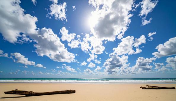 海と砂浜と流木と青い空 海と砂浜と流木と青い空の写真