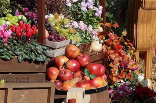 花とリンゴの風景　マーケット農園イメージ 花,リンゴ,クリスマスの写真素材