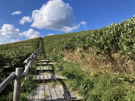 神威岬 神威岬 積丹,ブルー,神威の写真素材