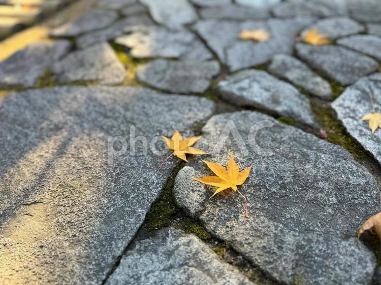 石畳ともみじの葉 石畳,背景,テクスチャの写真素材