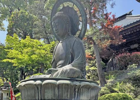 坂東33観音 11番 安楽寺 阿弥陀像 坂東33観音 11番 安楽寺 阿弥陀像 安楽寺,岩殿山,阿弥陀如来像の写真素材
