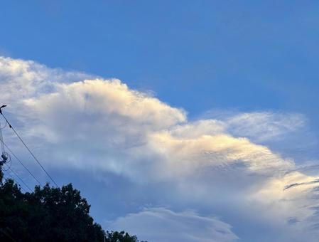 【空の写真】秋空 秋空,空,雲の写真素材