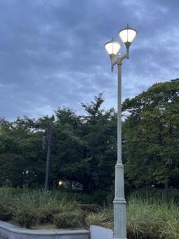 夕暮れの街灯 夕暮れの街灯の写真