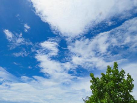 青空と雲のイメージ 青空と雲のイメージの写真