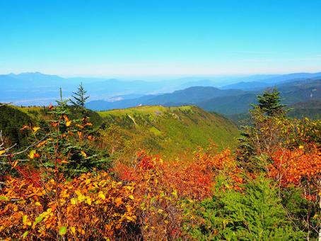 紅葉(根子岳) 紅葉(根子岳) 紅葉,もみじ,秋の写真素材