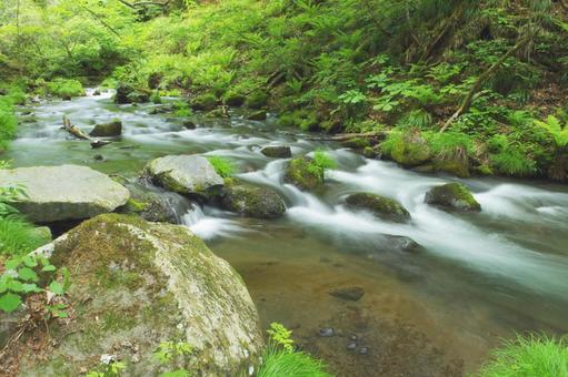 川の流れ 川の流れ 川,マイナスイオン,森林の写真素材