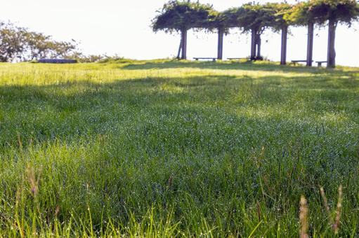 朝日に照らされるベンチ 朝日に照らされるベンチの写真