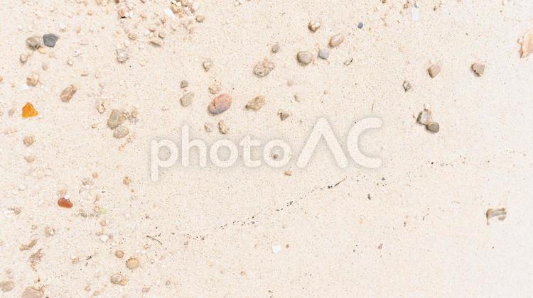 砂浜についた足跡と貝殻　 砂,ビーチ,海の写真素材