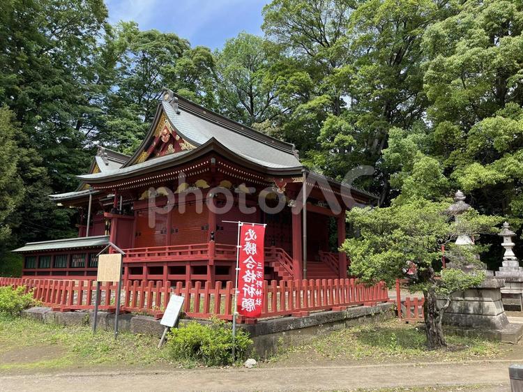 川越三芳野神社の本殿と拝殿・初夏の景色 川越,三芳野神社,川越観光の写真素材