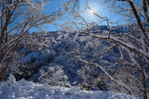 250320秋山郷清水川原、結東 250320秋山郷清水川原、結東の写真
