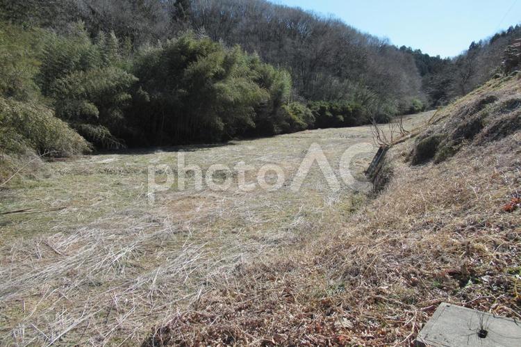山あいの枯れ草にまみれた広大な空き地 空き地,草地,草むらの写真素材