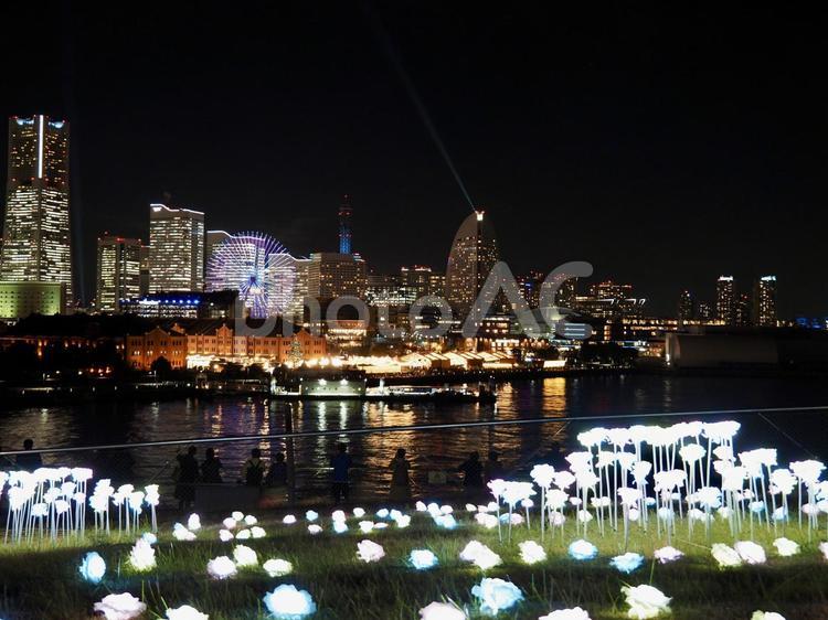 大桟橋のライトアップ越しのみなとみらい 夜景,構造美,夜景スポットの写真素材