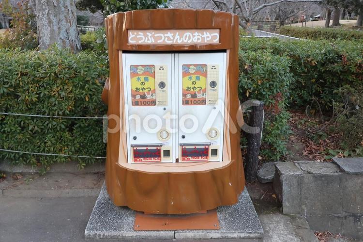 袖ケ浦公園の水鳥のエサの自動販売機 自動販売機,水鳥,エサの写真素材