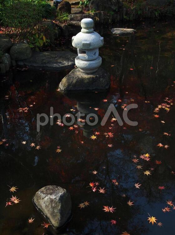 池と石灯籠と紅葉 紅葉,黄葉,石灯籠の写真素材