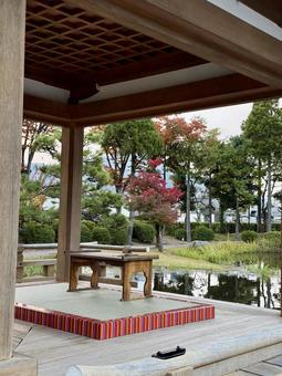 秋の夕方　福井県紫式部公園 紫式部公園,福井県,庭園の写真素材