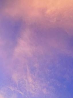 ピンク色の夕空 ピンク色の夕空の写真