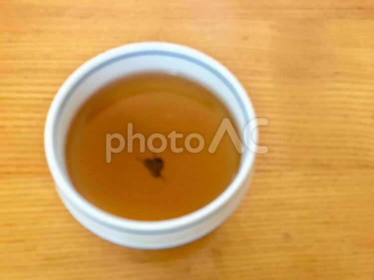 温かいほっとほうじ茶休憩ドリンク余白 ほうじ茶,ドリンク,飲むの写真素材