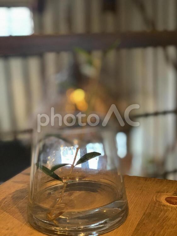 ガラスと、植物 屋内で,ガラス（コンテナ）,ガラス製品の写真素材
