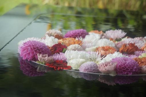 花手水 花手水の写真