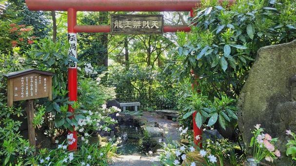 坂東33観音 16番 水澤寺 龍王弁財天 坂東33観音 16番 水澤寺 龍王弁財天の写真