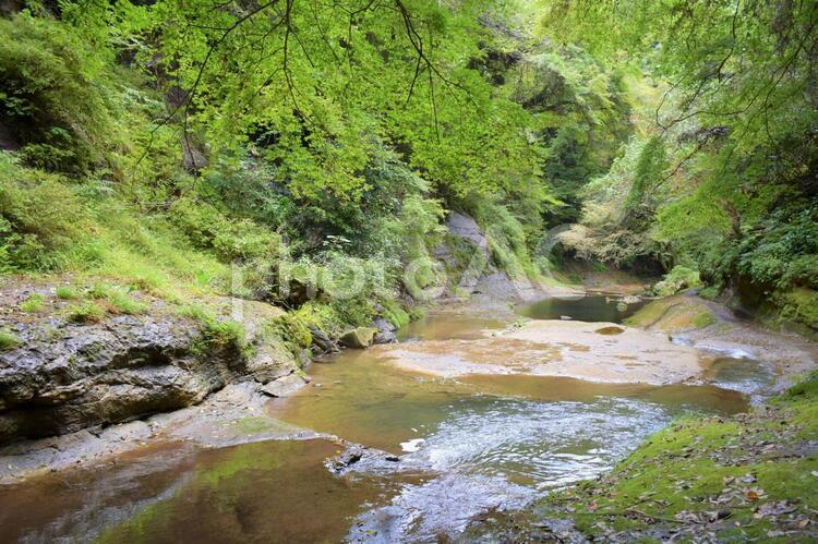 清流の渓谷、東椎谷の滝 滝,東椎谷の滝,渓谷の写真素材