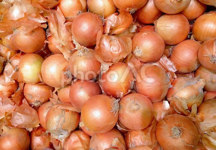 野菜・タマネギ タマネギ,玉ねぎ,玉葱の写真素材