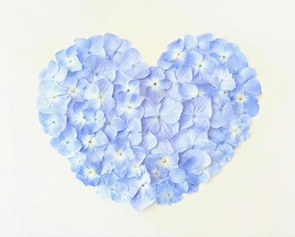 ハートの紫陽花 ハートの紫陽花の写真