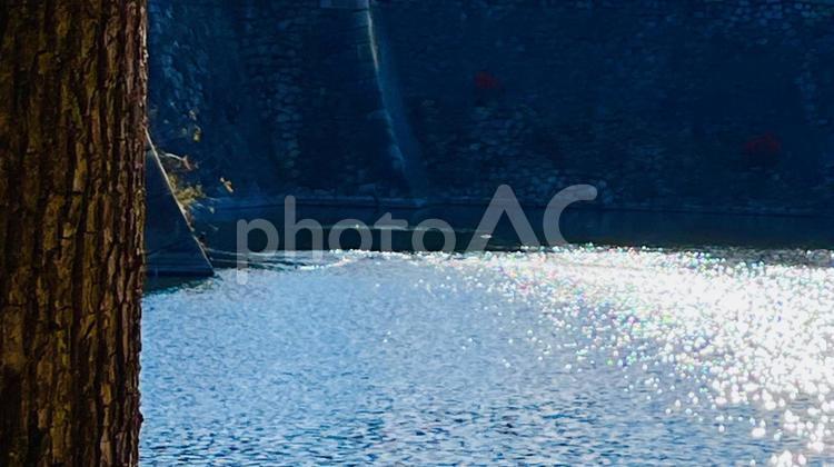 お堀の水面きらめき、太陽光の反射 反射,水面,堀の写真素材