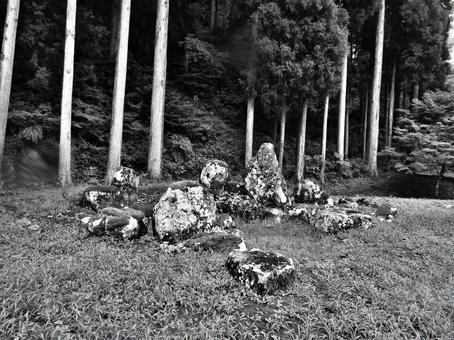 福井県-一乗谷朝倉氏庭園-南陽寺跡庭園 福井県-一乗谷朝倉氏庭園-南陽寺跡庭園 一乗谷,朝倉氏庭園,南陽寺跡庭園の写真素材