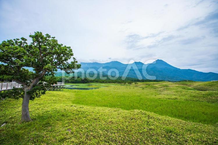 北海道　知床五湖ガイドウォーク 知床,知床五湖,北海道の写真素材