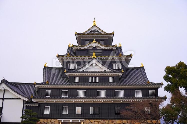 岡山城（冬・曇り）③ 岡山城,城,お城の写真素材